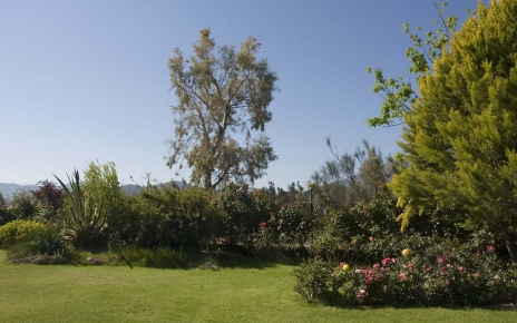 Beautiful mature gardens